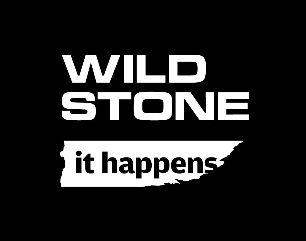 Futurebrands  Case Study - Wild Stone